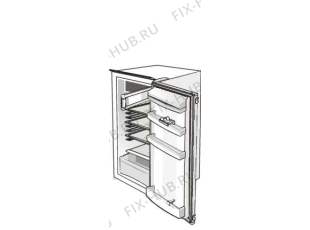 Холодильник Pelgrim KB8204A/P04 (100033, HTI1726) - Фото